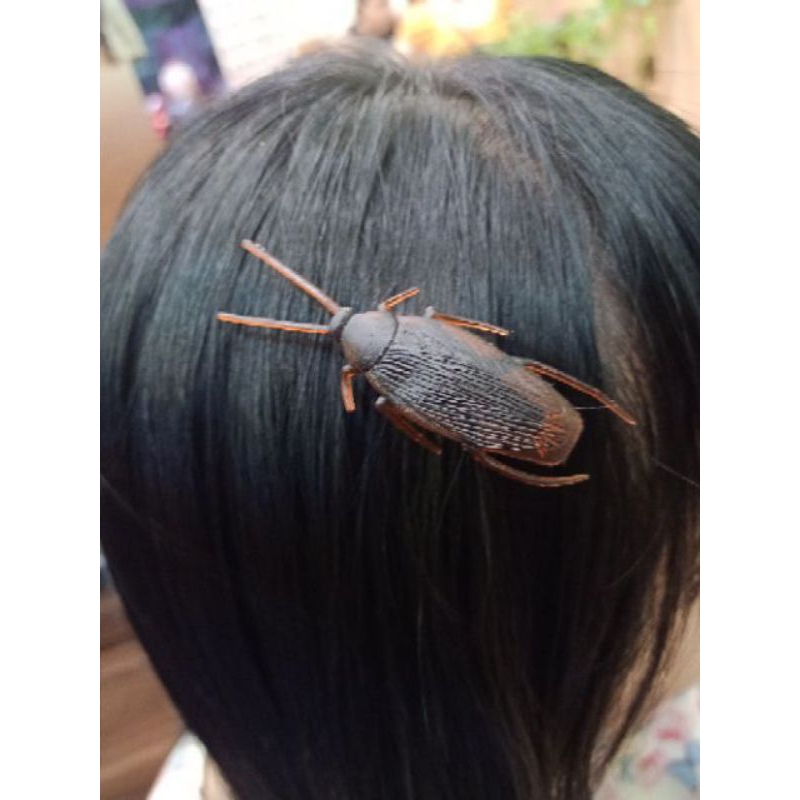 Kẹp tóc côn trùng