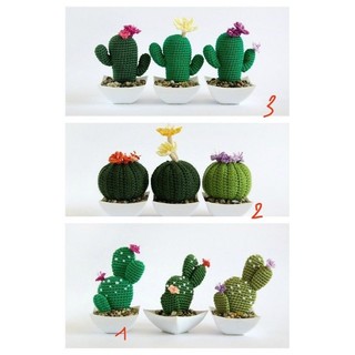 chậu hoa sương rồng len handmade