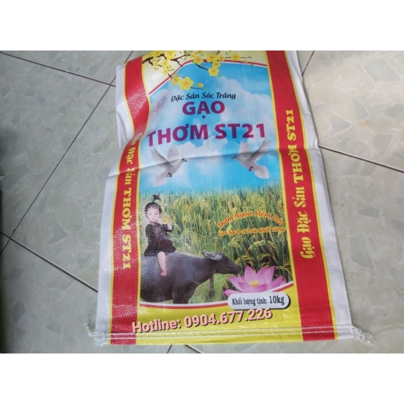 Bao đựng gạo ST21 10kg