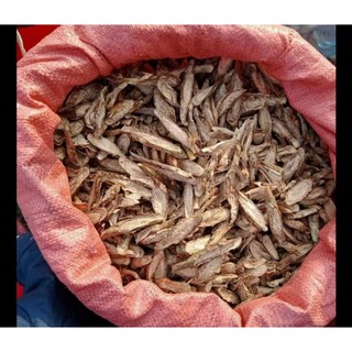 DÂY ĐAU XƯƠNG PHƠI KHÔ ( 1 Kg)