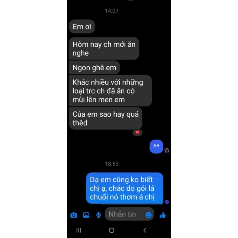 Tempeh đậu gà - đạm thực vật cho người ăn chay