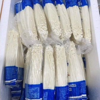 Nấm kim châm thả lẩu/nướng ❤️Tmart - Thực phẩm sạch