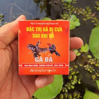 Xử lý gà bị cựa sau đá