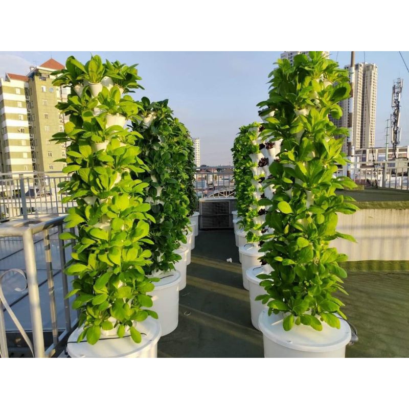 Trụ trồng rau thủy canh