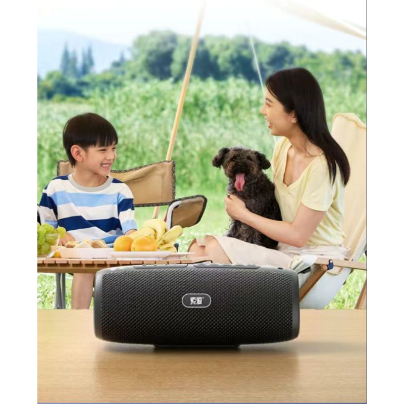 Loa nghe nhạc Soaiy S36 nội địa Trung