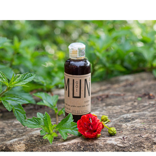 Dầu gội Mun HTX Sinh Dược 100ml