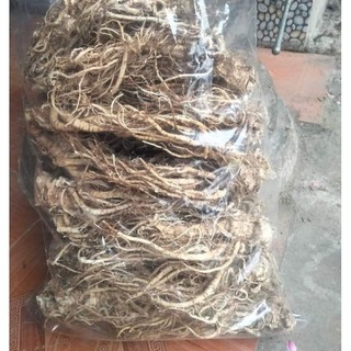 SÂM ĐƯƠNG QUY PHƠI KHÔ (1KG)