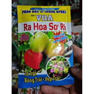 Vua ra hoa Sơ Ri