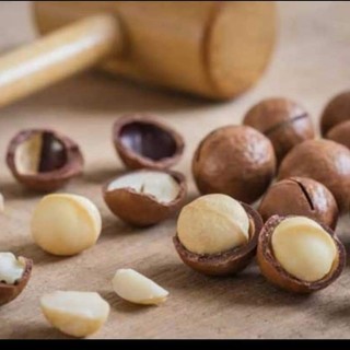 hạt macca sấy hộp 500g