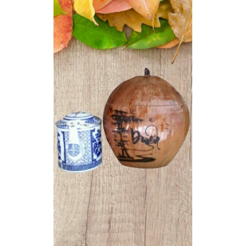 Trái dừa giữ ấm bình trà
