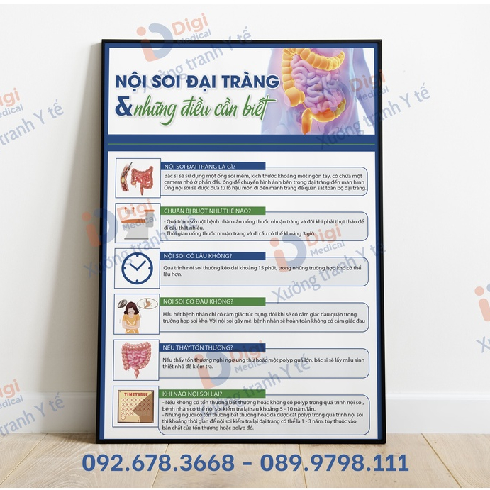 (Tranh Decal Dán) Tranh Nội Soi Đại Tràng Và Những Điều Cần Biết