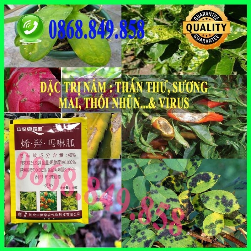 Thuốc đặc trị nấm thuỷ sinh, thán thư,sương mai..