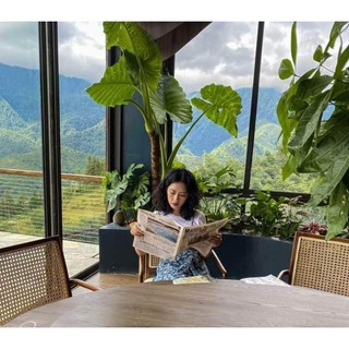 3 củ cây ráy voi