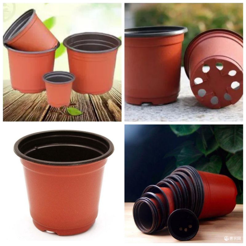 Set 10 Cốc ươm cây 9*9cm
