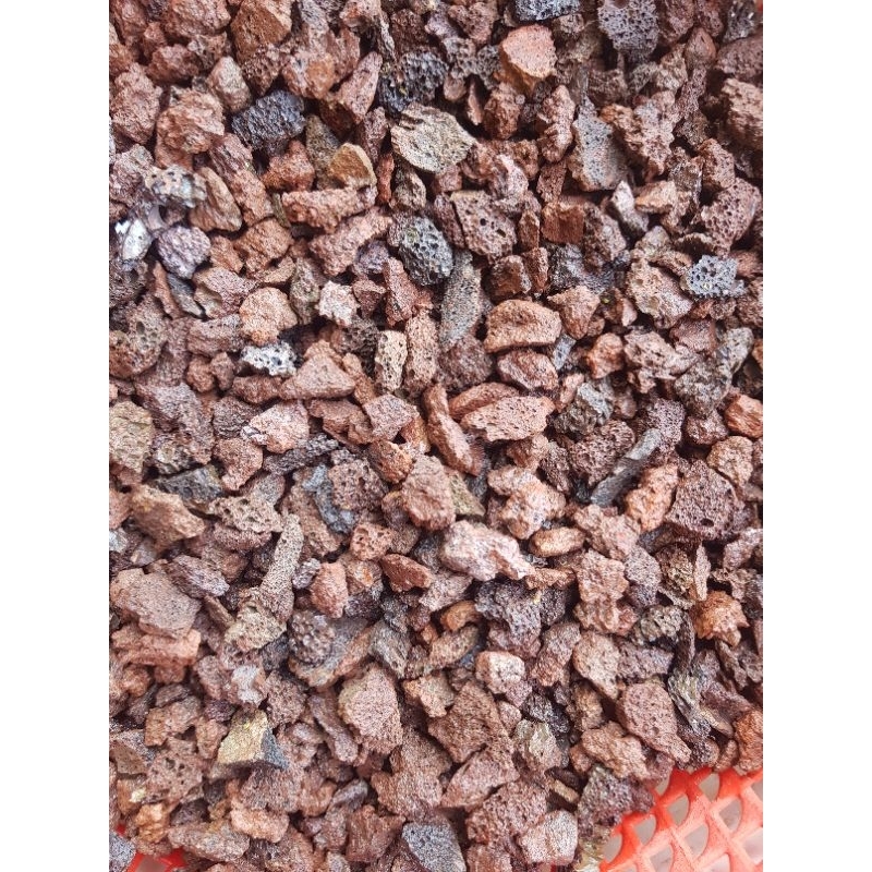 Nham thạch nhỏ loại to bằng ngón tay cái đổ xuống bao 1 kg- tặng thêm kg