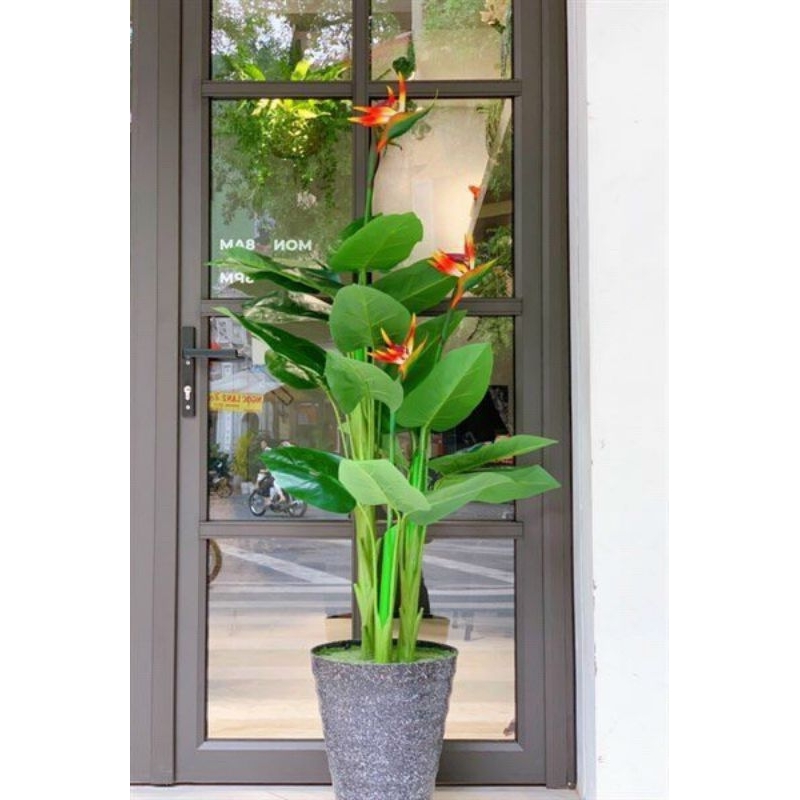 Xốp cắm hoa giả. hoa khô, hoa sáp- hàng cao cấp