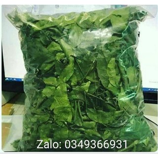 Lá mắc mật khô lạng sơn