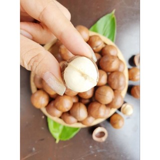 Macca sấy lâm đồng túi 500g size vip chỉ 150k
