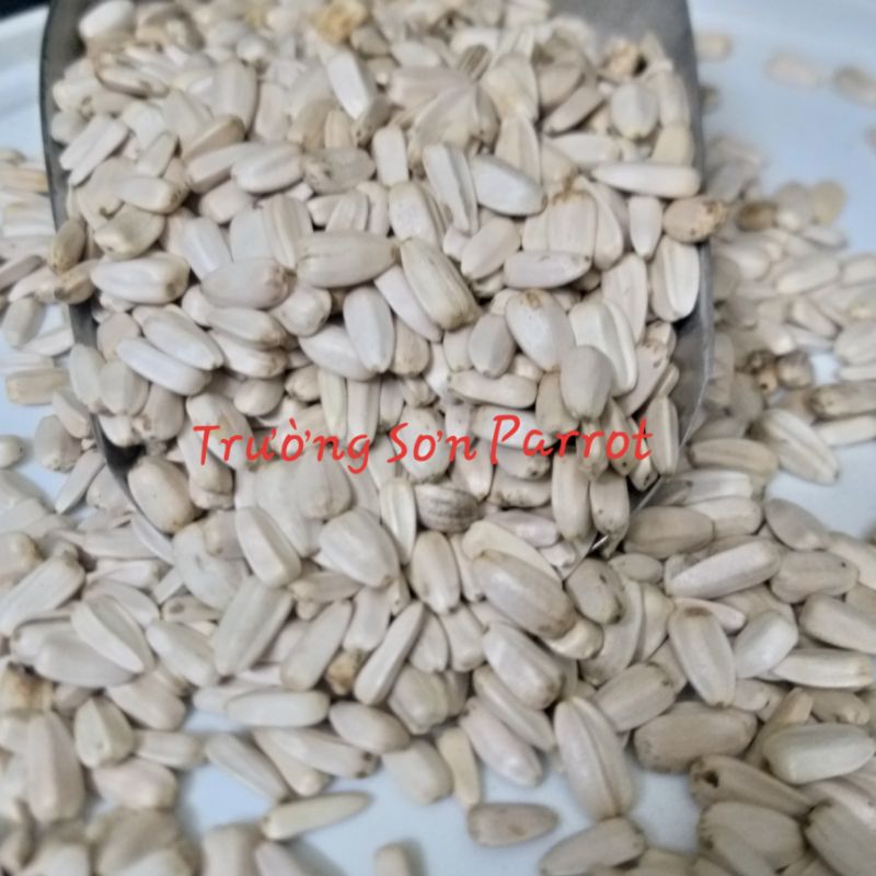 0,5kg hướng dương trắng nhỏ Ai Cập / lớn Kenya