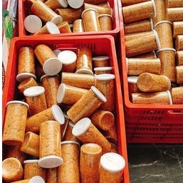  Ruốc tôm thịt hạ long hộp 500gr siêu ngon vị ngọt 