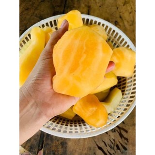 Combo 3Kg - Khoai Sâm Đất - Củ Sâm Đất - Có Thể Gọt Vỏ Ăn Liền