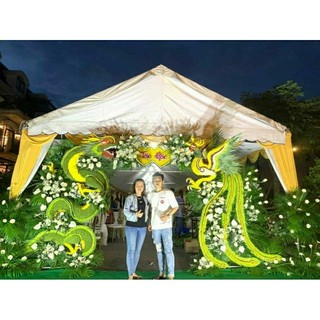 100g vảy sò xanh lá xà cừ