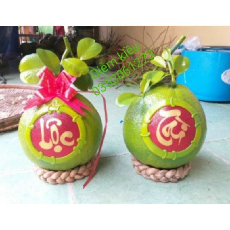đế chưng dưa dừa bưởi (giá 1cái)