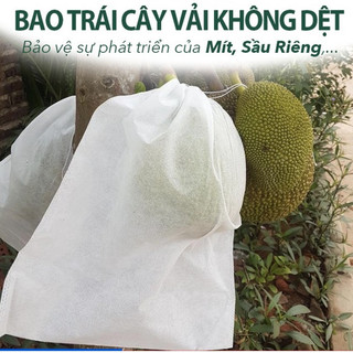 SET 10 Túi bọc trái cây túi bọc mít 45x60cm bằng vải không dệt chuyên dùng bọc trái Mít