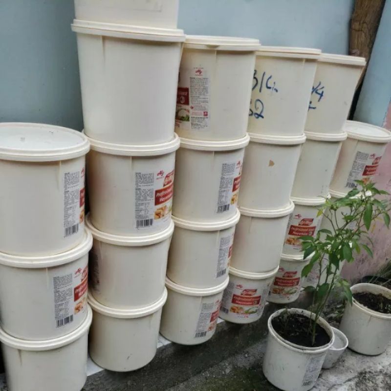 Combo 1 xô–10 cá bảy màu