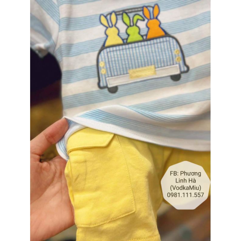 ‼️BỘ COTTON Willow and Baby Essential