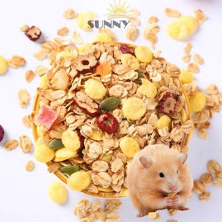 Yến mạch nướng mix ngũ cốc cho hamster