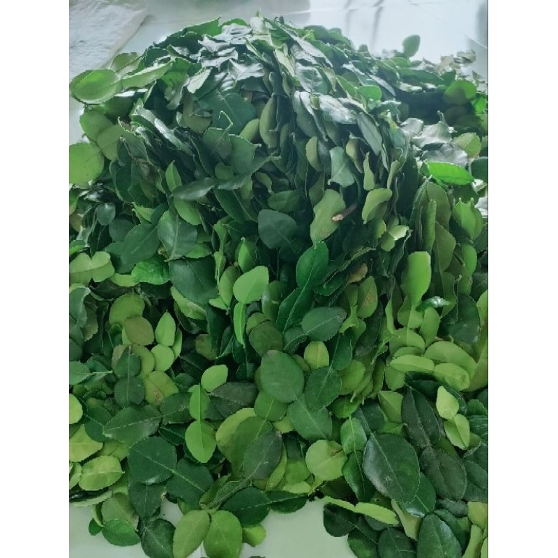 Lá chanh thái. Lá chúc. hàng tươi 100%. Chanh chúc. Lá chanh số 8.