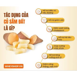 Sâm Đất Hoàng Sin cô Lào Cai Giá 1kg