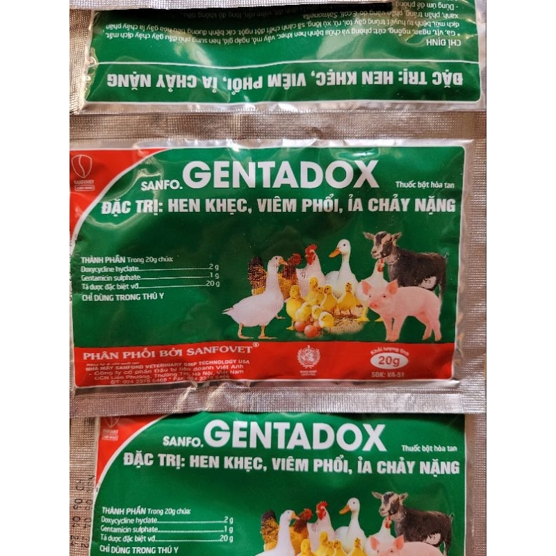 Sanfo. Gentadox 20g: Dùng cho gà, vịt, chim, thú cưng
