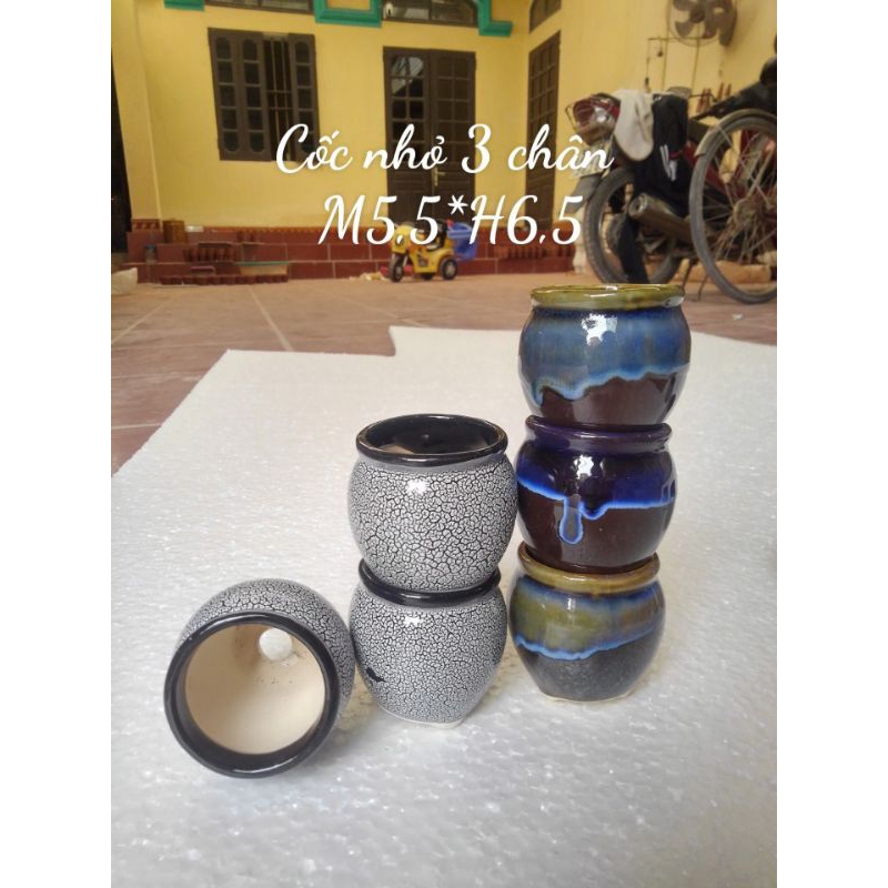 Combo-5 chậu cốc mini trồng sen đá men rạn( hỏa biến )