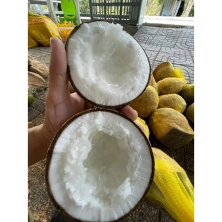 Dừa Sáp đặt Sản Trà Vinh