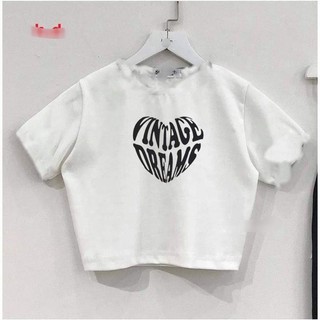 Áo Thun Croptop in Tim