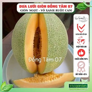 Gói 10 hạt giống dưa lưới Giòn Đồng Tâm 07 giòn ngọt mỏng vỏ rất thơm và chịu nhiệt tốt