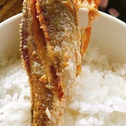 Khô cá đù 10-14 con/kg không mặn
