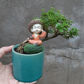 Sam hương mini ÔM TƯỢNG- ÔM ĐÁ