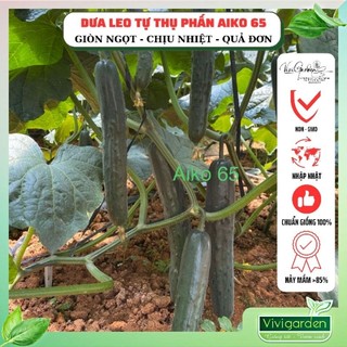 Gói 10 Hạt giống Dưa leo nhật tự thụ phấn AIKO 68 gống Đồng Tâm chịu nhiệt tốt sai quả rất giòn ngon