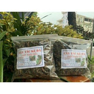 Cốt toái bổ khô. tắc kè đá khô