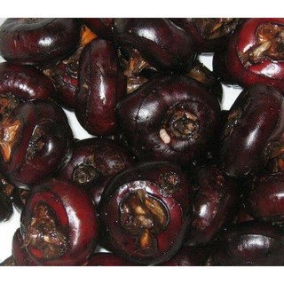 Củ mã thầy - củ năng tươi 1kg
