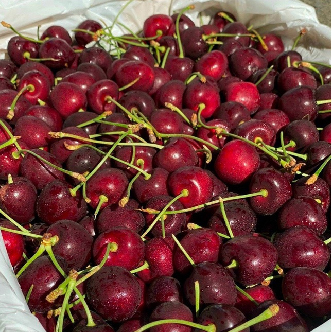 Cherry Mỹ Sage quả cherry tươi, mọng nước, mát lạnh 200g 500g 1kg