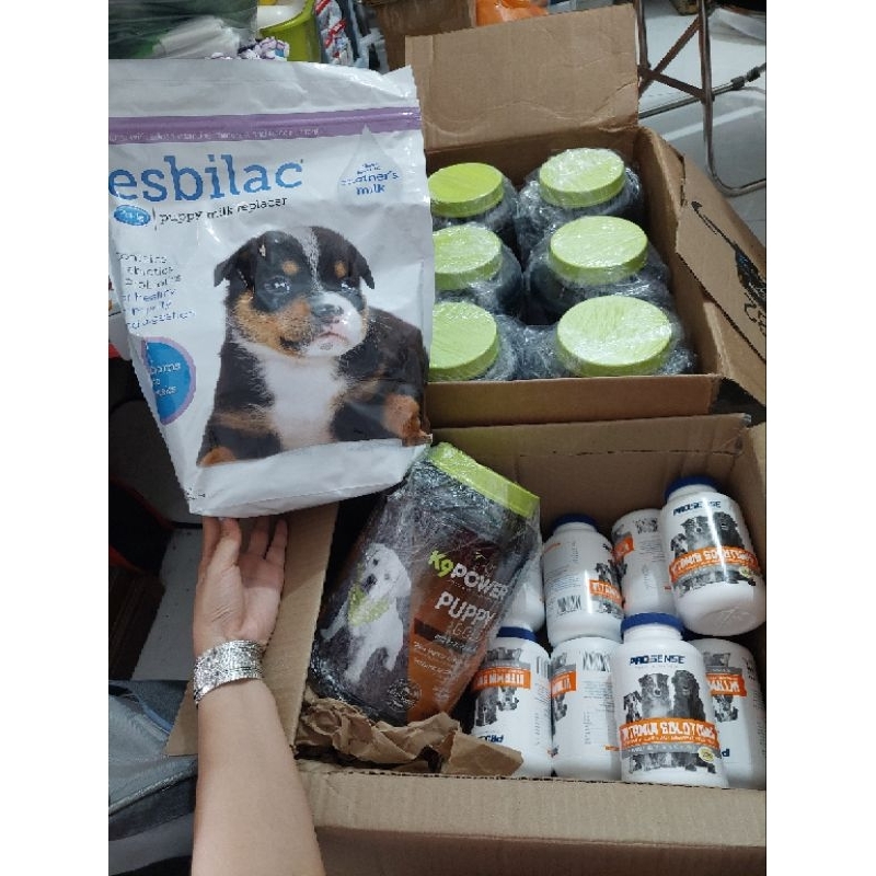 Vitamin prosense cho chó