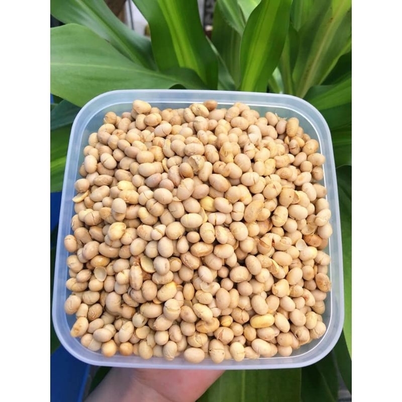 Hạt Đậu Nành Sấy Giòn