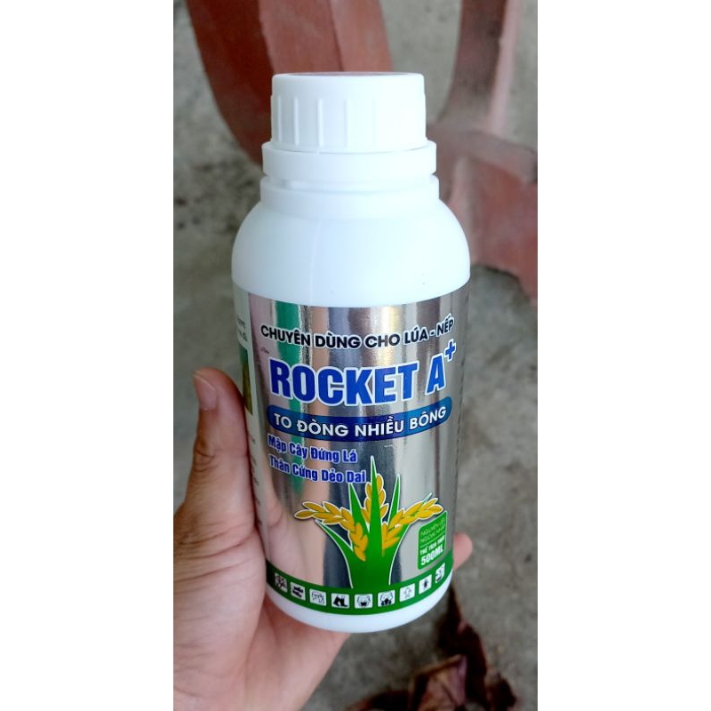 Mập Đòng, Cứng Cây