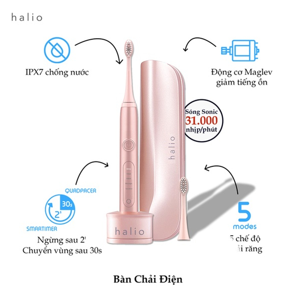 Combo Bàn chải điện Halio Sonic Whitening Electric Toothbrush PRO