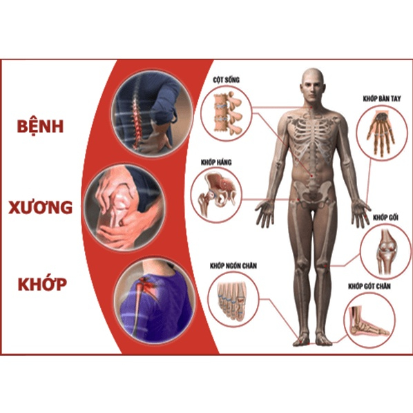 Dầu Xoa Bóp Gia Truyền Bình Định, Rượu Xoa Bóp Xương Khớp, Thuốc Võ Bình Định Gia Truyền