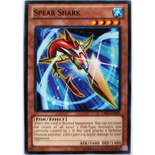 Spear shark |en| common
